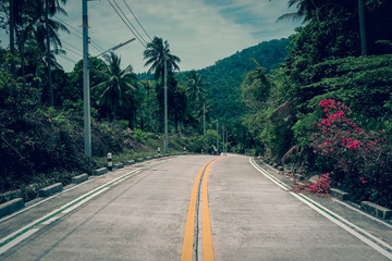 Asphalt road going through the jungle tropical forest