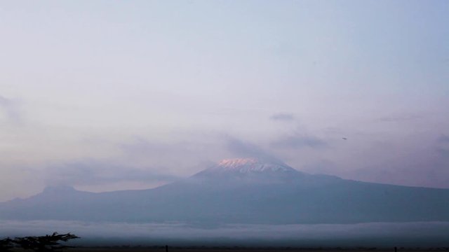 Wide shot of Mount Kilimanjaro at last light of day showing snowy cap