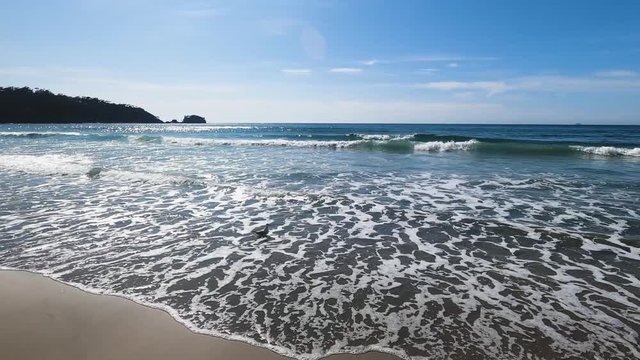 view of the beach next to the Tessalated Pavement in Eaglehack Neck in the Tasman Peninsula in Tasmania with seagull taking flight