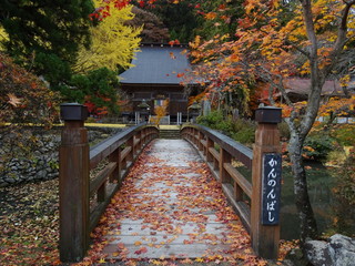 津金寺