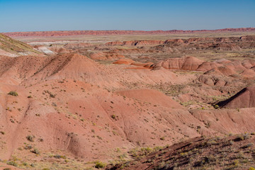 Beautiful landscape of Tiponi Point at Petrified Forest National Park