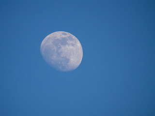 waxing gibbous moon in evening blue sky