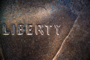Fototapeta premium Marco Penny Super Close Up