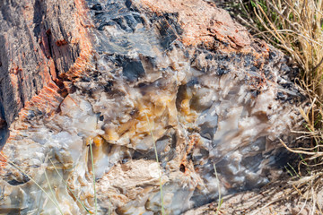Fototapeta premium Beautiful landscape of Petrified Forest National Park
