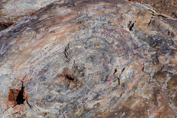 Beautiful landscape of Petrified Forest National Park
