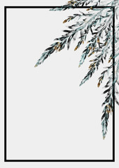 ミモザの木　アカシアブルーブッシュの葉のフレームイラスト