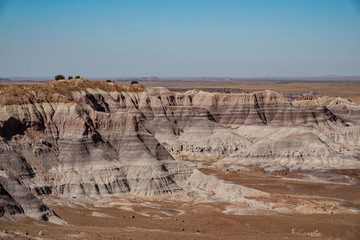 Beautiful landscape of Petrified Forest National Park