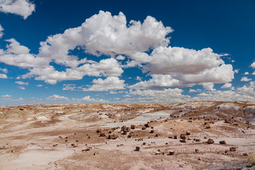 Beautiful landscape of Petrified Forest National Park