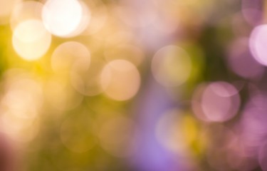 Fototapeta premium Abstract Bokeh Background