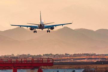 Fototapeta premium 夕方の空港に着陸する飛行機