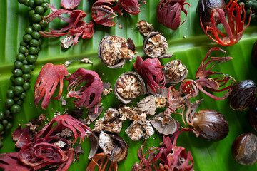 Whole Nutmeg seeds, mace or aril, organic Indian spices cooking ingredient for spicy curries, Kerala India.  