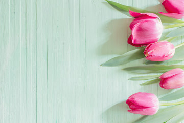 pink tulips on green wooden background
