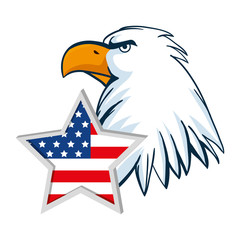 Usa eagle and star design, United states america independence labor day nation us country and national theme Vector illustration