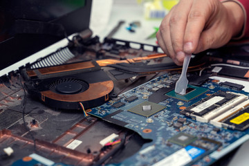 Fototapeta na wymiar the master applies thermal grease to the computer processor. Computer Repair