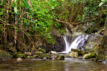 Wasserfall im Regenwald in Costa Rica
