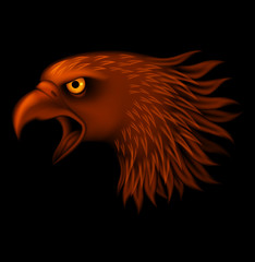 Fire eagle head isolated on black background