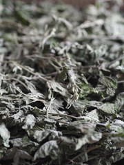 Dry medicinal herb lemon balm, mint. Wooden ancient background. Herbal tea for health.