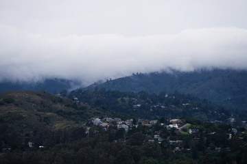 San Francisco bay area nature and attraction