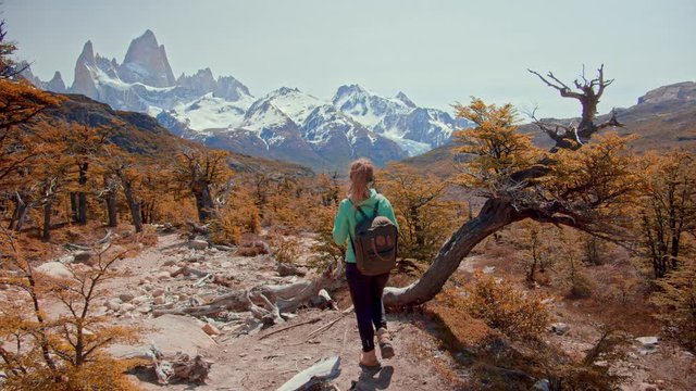 Female Trekker Discovering El Chalten National Park, Patagonia, Argentina.
Back Shot Explorer Enjoying the View of Mount Fitz Roy.
Autumn Colorful Orange Foliage Vegetation.