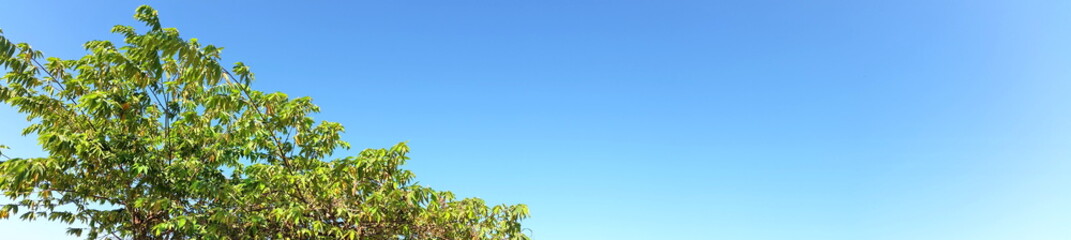 Panorama shot photograph. Clean and deep color of blue sky on day time for background usage(horizontal). Royalty free stock photograph.