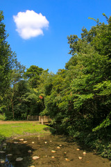 河辺いきものの森