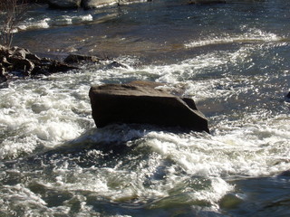 KODAK Digital Still Camera