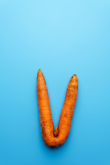 Ugly carrot on a blue background.