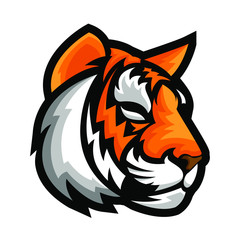 Vector illustration head ferocious tiger on a white background