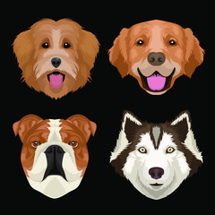 Natural Dog head Vector Collection