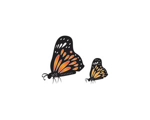 Obraz na płótnie Canvas Butterfly icon and symbol vector illustration