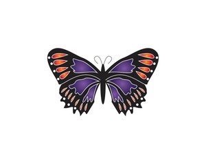 Obraz na płótnie Canvas Butterfly icon and symbol vector illustration