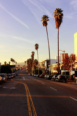 Los Angeles, CA, USA. January 10, 2020. Blue undercity and palm trees at Sunset Blvd towards inscription on Mount Hollywood.