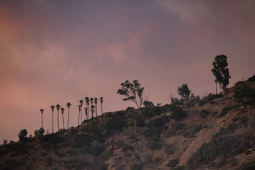 Sunset Over The Hill, Los Angeles California 