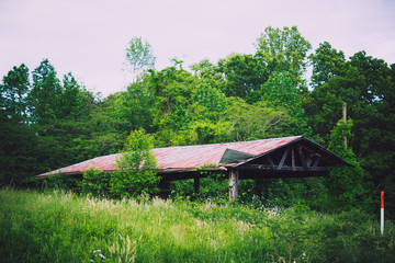 Beautiful overgrown abandoned farm building in rural North Carolina 
