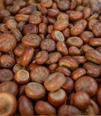 dry nuts of edible chestnuts as a background