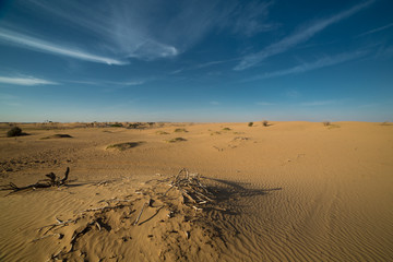 Fototapeta na wymiar Desert landscape at the Emirates