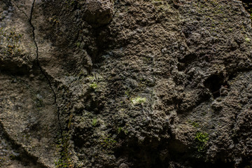 concept and texture of the background - the walls of the house with rough bricks