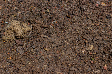 concept and background texture - wet clay.