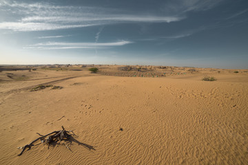 Desert landscape at the Emirates
