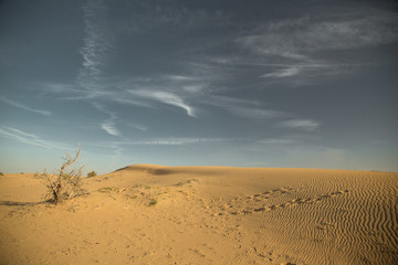 Desert landscape at the Emirates