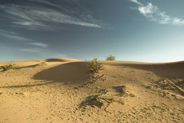 Desert landscape at the Emirates