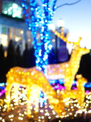  Deer made of twinkling lights