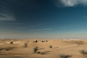 Fototapeta na wymiar Desert landscape at the Emirates