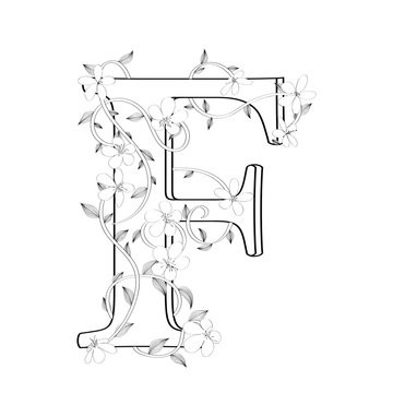 Letter F floral sketch