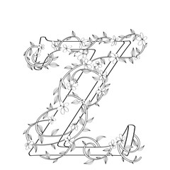 Letter Z floral sketch