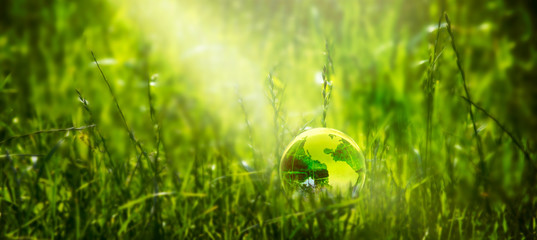 Earth crystal glass globe ball in fresh juicy grass lawn background. Saving environment, save clean...