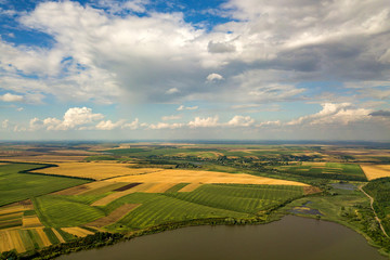 Obraz premium Aerial rural landscape with yellow patched agriculture fields and blue sky with white clouds.