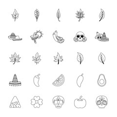 Isolated mexican icon set vector design