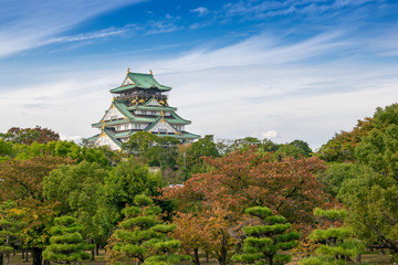Fototapeta na wymiar Osaka castle with the fall colors, Japan