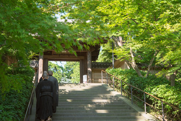 Engakuji Temple gate and monks in Kamakura, Japan　鎌倉 円覚寺の総門と僧侶